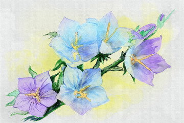 bouquet of flowers on white background with copy space for text