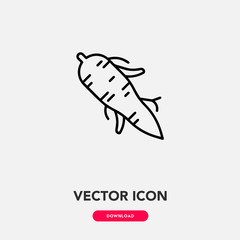 Ginseng icon vector. Ginseng sign symbol