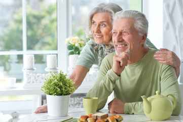 Portrait of happy senior couple drinking tea