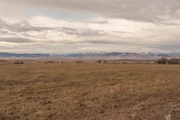Vast open field with tall grass in front of a wide open mountain range with snow and trees