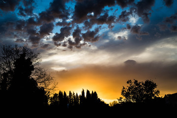 Fototapete bei efototapeten.de bestellen   