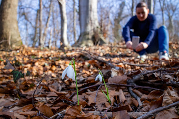 Woman taking pictures of fresh white snowdrop flowers (Galanthus nivalis) in the forest by the lake in beautiful sunny day. First messengers of spring. Front view. Close up. Selective focus.