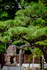 Sumiyoshi Shrine in Fukuoka City, Fukuoka Prefecture