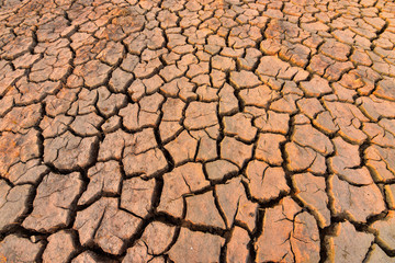 The land is dry and parched because of global warming