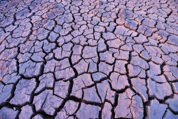The land is dry and parched because of global warming