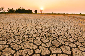 The land is dry and parched because of global warming