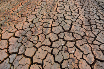 The land is dry and parched because of global warming