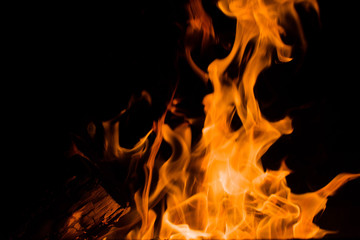 Orange flames on a black background, closeup. Texture of a fiery flame