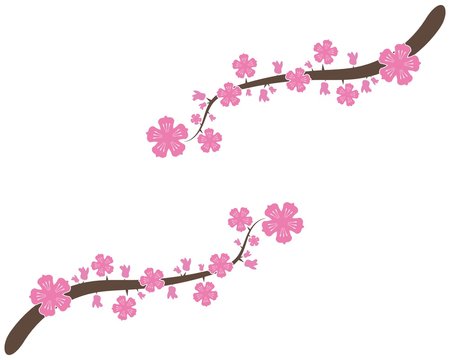 Cherry Blossom Logo Vector Illustration