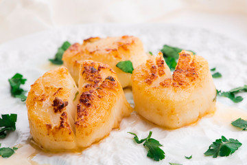 Close up of pan seared sea scallops