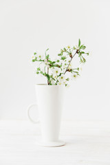 White flowering branch in the vase.White background.Copy space.Mockup for design.
