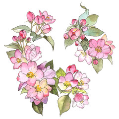 Hand drawing graphics floral seamless background