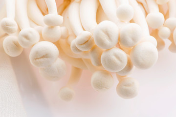 Fototapeta na wymiar White beech mushrooms, Shimeji mushroom
