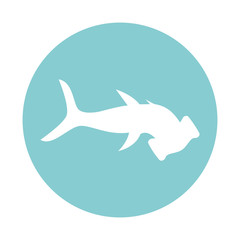 Isolated hammerhead shark block style icon vector design - obrazy, fototapety, plakaty