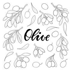 Set of black and white outline Olive branch with leaves and olives isolated on background. design for restaurant, cafe, menu, organic cosmetic with olive oil. Packaging decor, logo, illustration.
