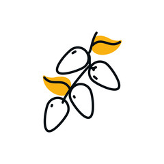 Ramadan fruits half line half color style icon vector design