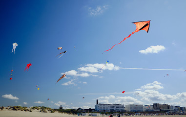many shaped kites in the blue skies, houses and the beach