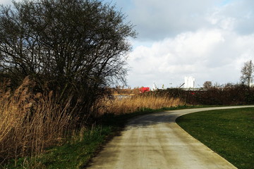 Road with tree cloudy sunny