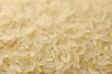 Rice texture background, close up and macro