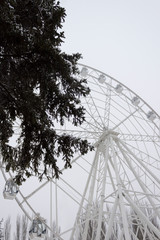 ferris wheel in Gagarin park in the city of Samara