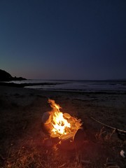 sunset on beach © Darlyne