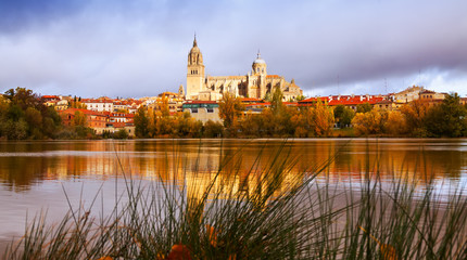 Salamanca Cathedral from  River  in autumn