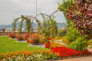 Fototapete bei efototapeten.de bestellen   