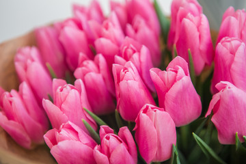 Obraz premium Pink tulips in pastel coral tints on white background, closeup.