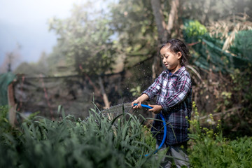 Cute little girl watering vegetables in the garden.