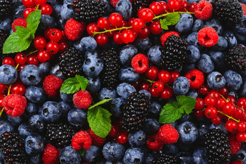 Blackberry, raspberry, blueberry,  red currant and mint background.