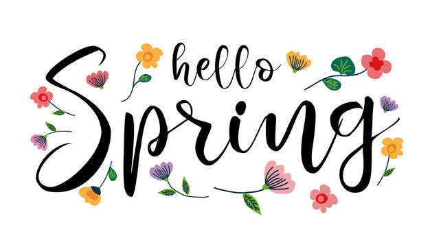 Hello Spring, handwritten lettering vector illustration