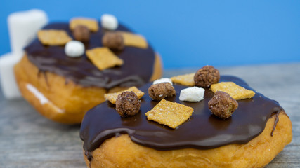 Donut Donuts Coffee Cake Sandwich Clean Blue Purple Cinnamon Oreo Cookie Candy Caramel Smores Marshmallow Meat  