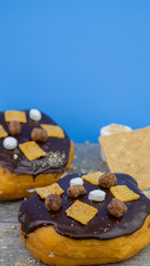Donut Donuts Coffee Cake Sandwich Clean Blue Purple Cinnamon Oreo Cookie Candy Caramel Smores Marshmallow Meat  