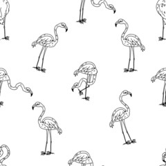 Flamingo. Line drawing. Seamless pattern. Vector illustration.