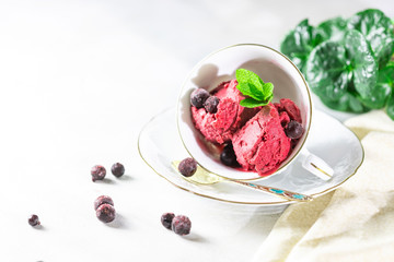 Blackcurrant sorbet. Berry ice cream iwith mint and blackcurrant.