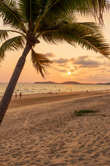 Coconut trees at the beach with the beauty of the sunset. Is a time that is perfect for recreation.