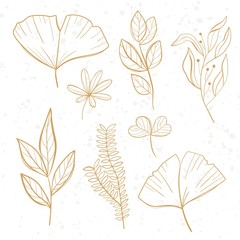 Tropical leaves set. Palm, fan palm, monstera, banana leaves in line style. Sketches of tropical leaves for design.
