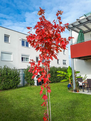 Fototapete bei efototapeten.de bestellen   