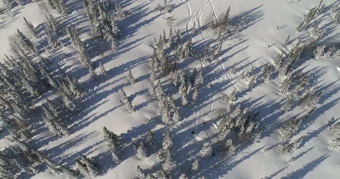 Aerial:five skiers and one snowboarder ride the first freeride line. off-piste skiing, Heli skiing. freeriders roll out large untouched snow valleys in the mountains after a big snowfall. Freeride ski