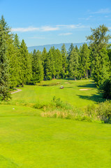 Fototapeta na wymiar Golf course with gorgeous green.