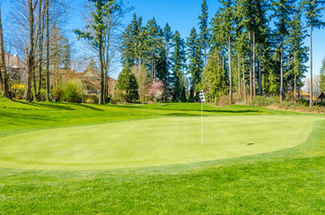 Golf course with gorgeous green