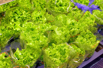 lettuce and vegetables in the supermarket