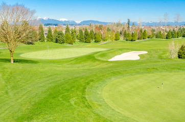 Golf course with gorgeous green and pond.