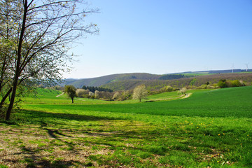 Traumschleife Hunolsteiner Klammtour in der Nähe von Morbach im Hunsrück