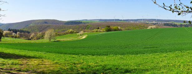 Traumschleife Hunolsteiner Klammtour Panorama mit Haag am Haardtwald