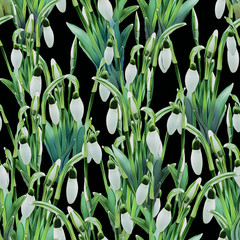 Snowdrops seamless pattern. Spring background. Watercolor illustration.