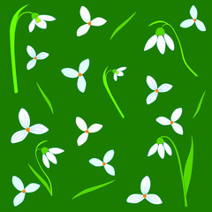 Vector color flat illustration of snowdrops isolated on green background. Design element