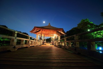 奈良 夜の浮見堂