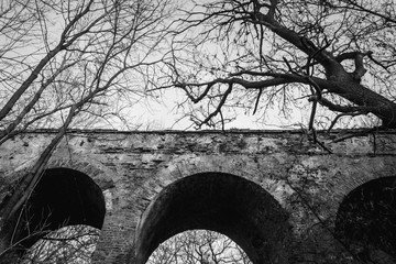 Ruins of a medieval viaduct among trees. Black and white