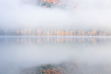 Beautiful autumn landscape with golden and copper colored trees in the mist, Sfanta Ana Lake, Harghita, Romania